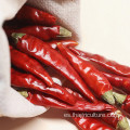 Venta caliente al por mayor China Hot Red Chili Peppercorn